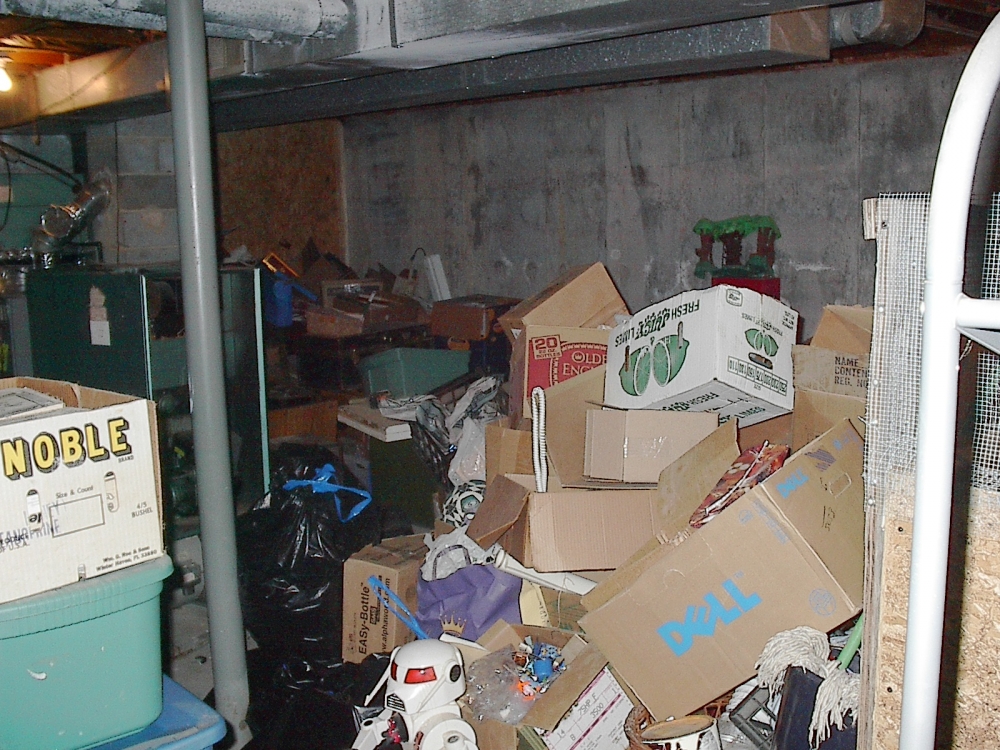 A garage full of cardboard boxes and junk